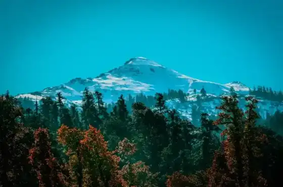 Kedarkantha Trek
