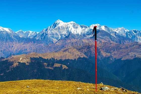 Himalayan view