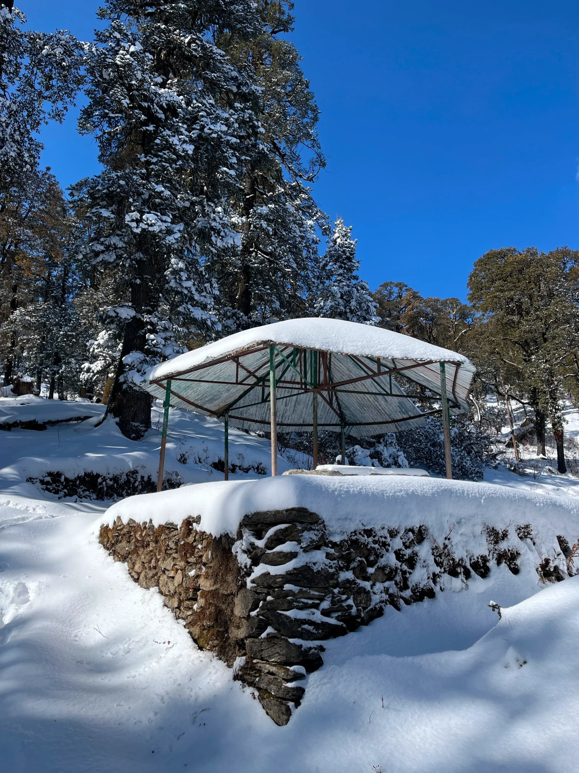 Dayara Bugyal Trek view 2