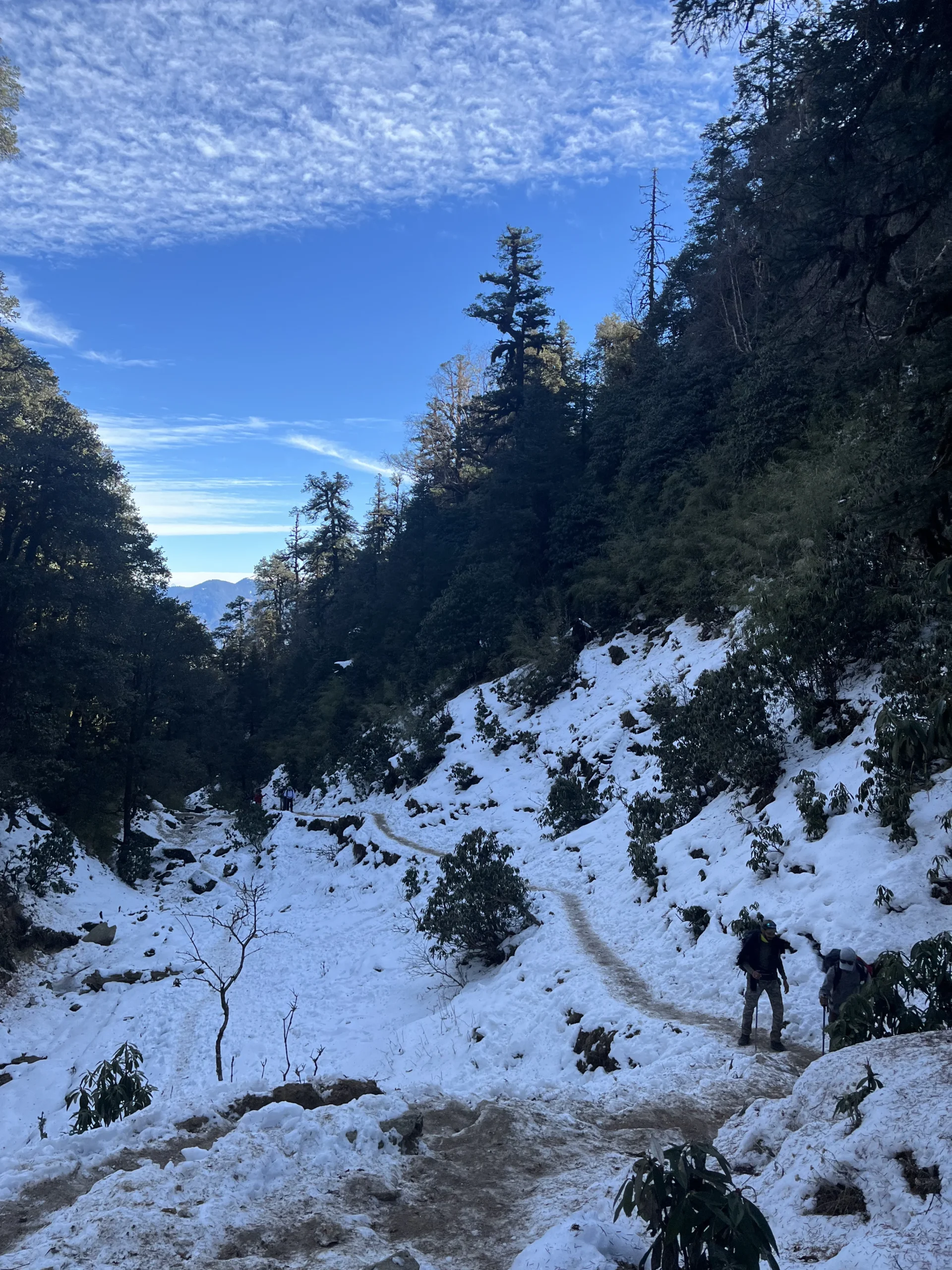 Brahmatal Trek view 3