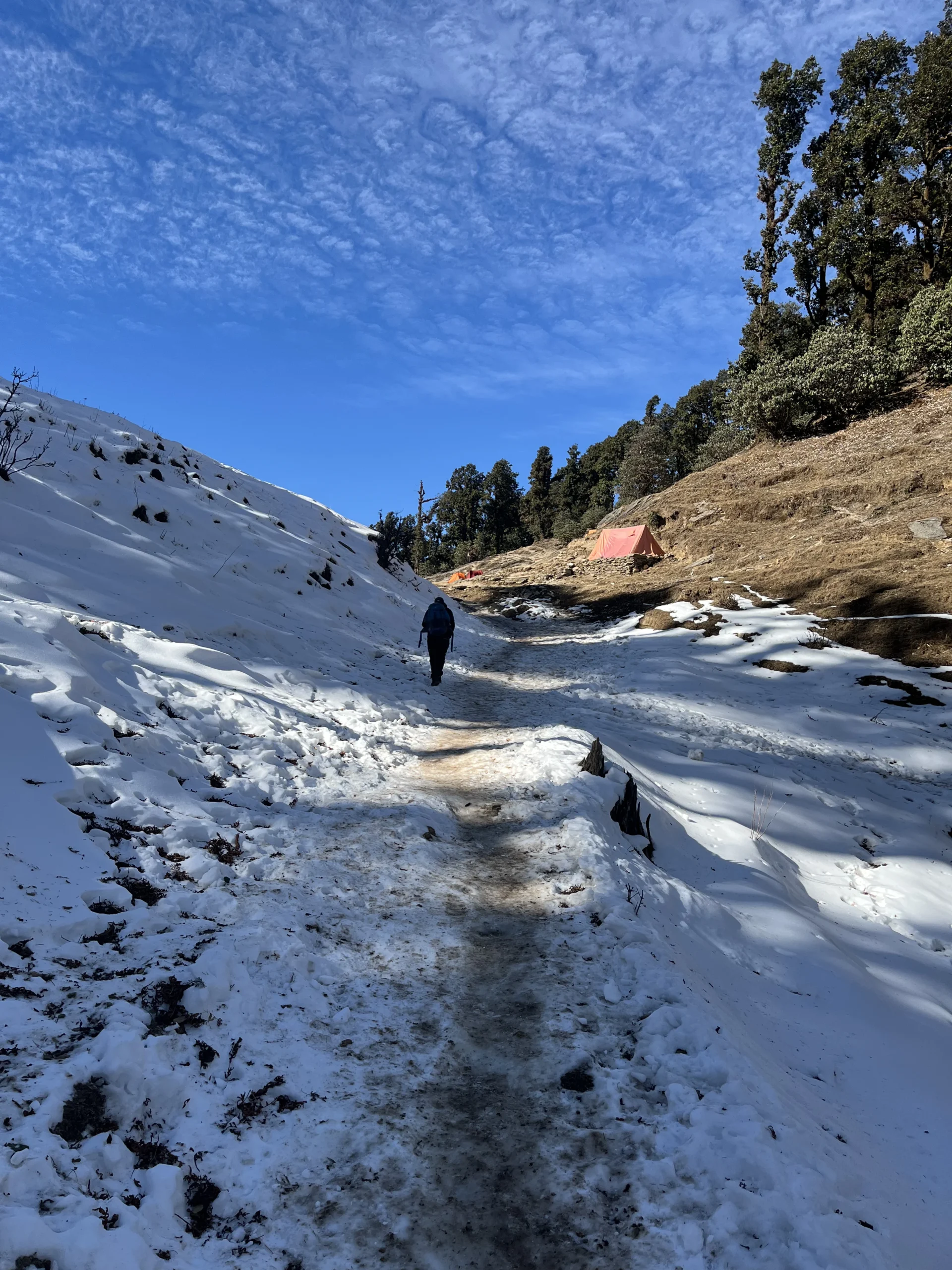 Brahmatal Trek view 1