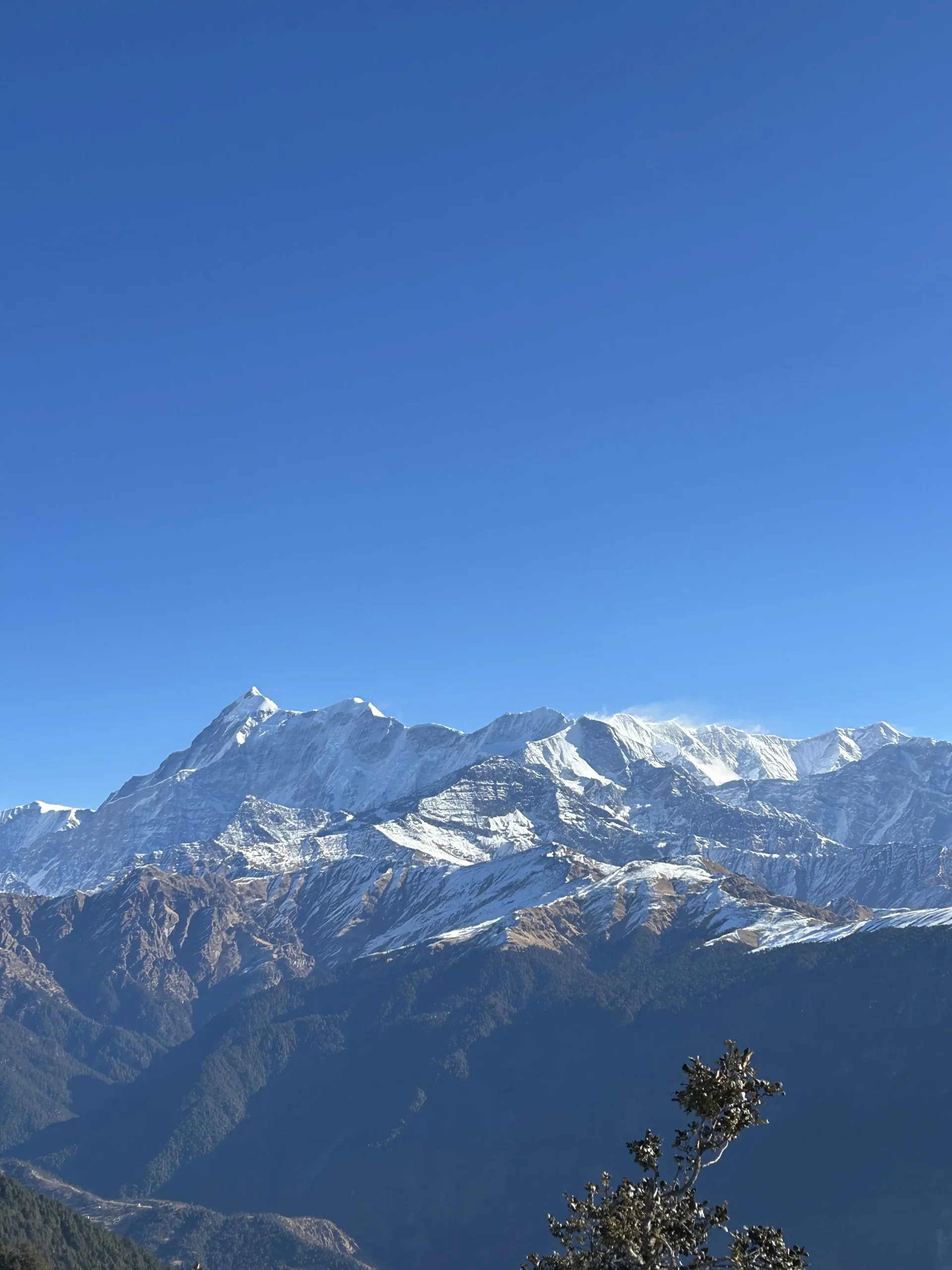 Brahmatal Trek view 10