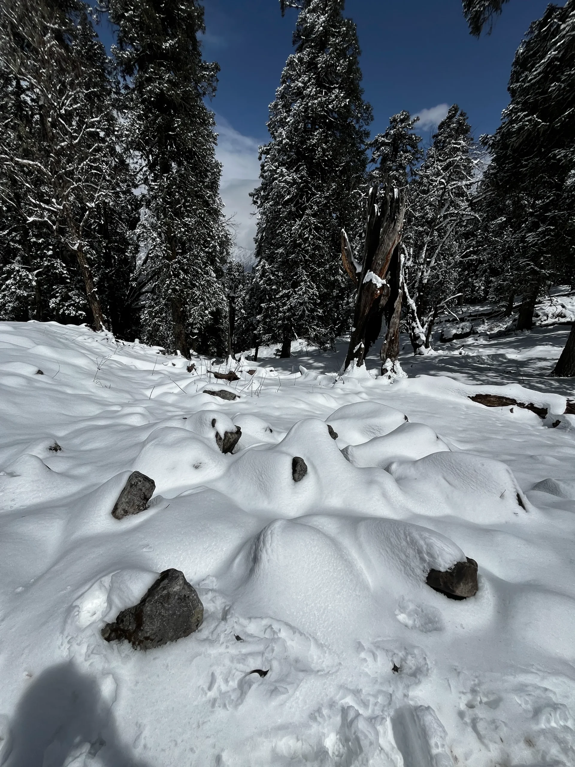 Kuari Pass Trek view 3