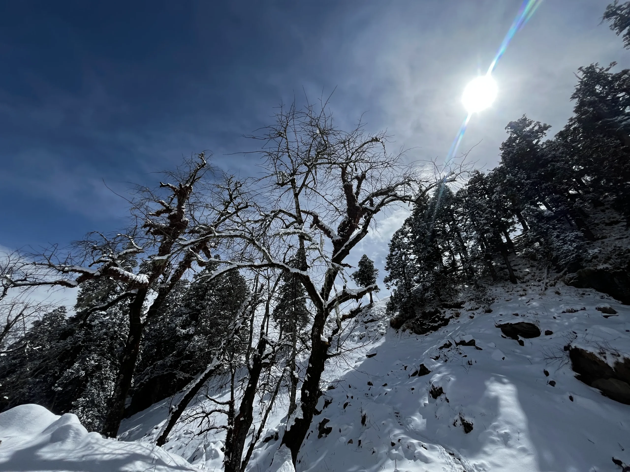 Kuari Pass Trek view 4