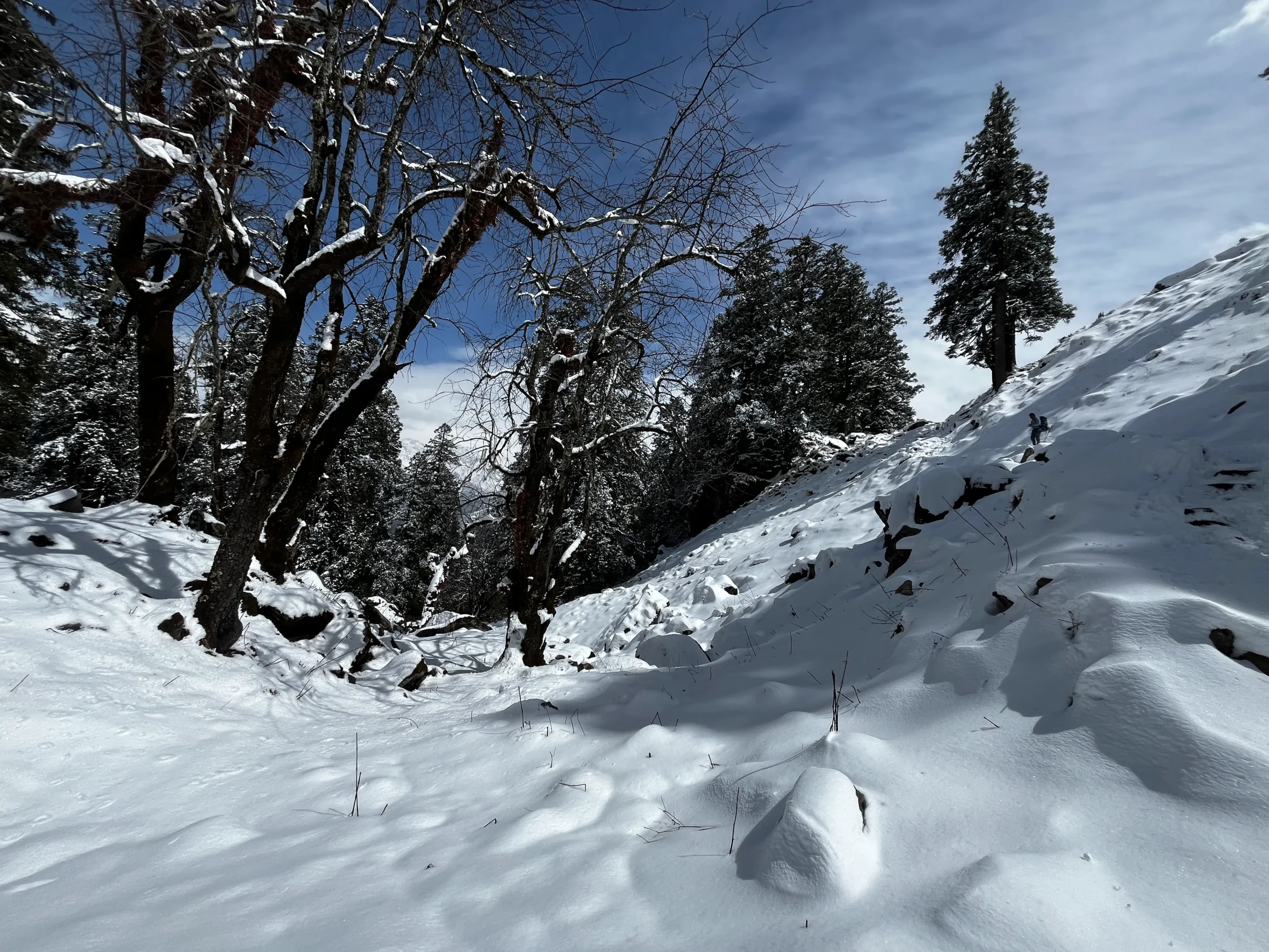 Kuari Pass Trek view 5