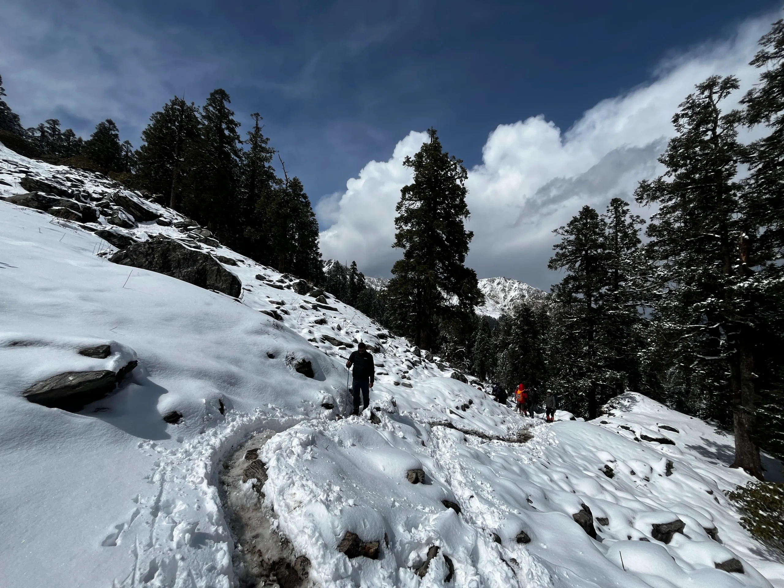 Kuari Pass Trek view 6
