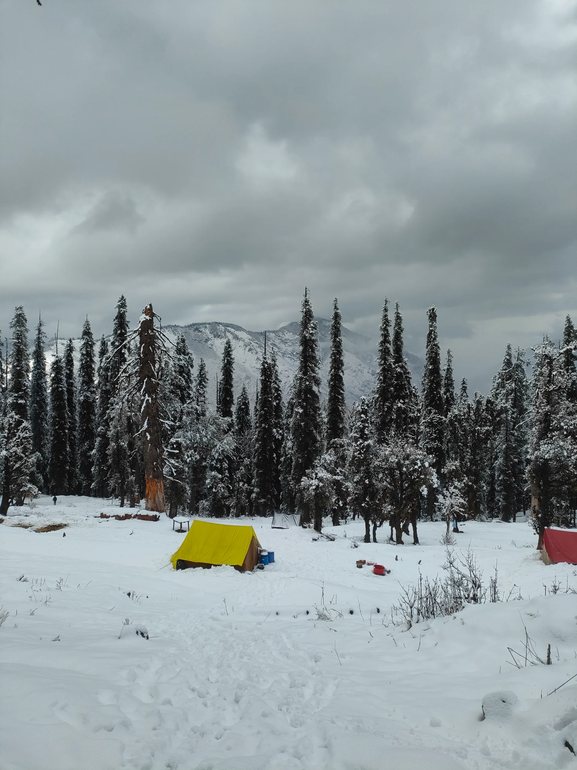Kedarkantha Trek view 1