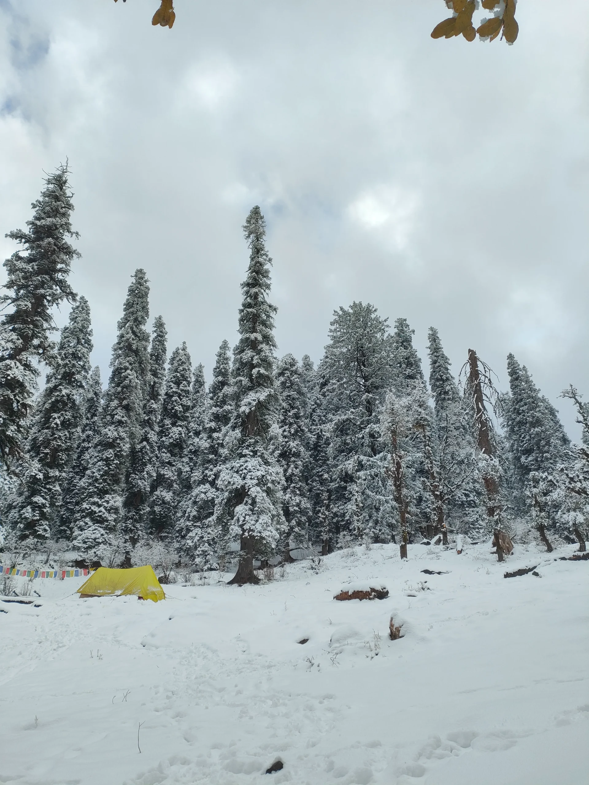 Kedarkantha Trek view 3