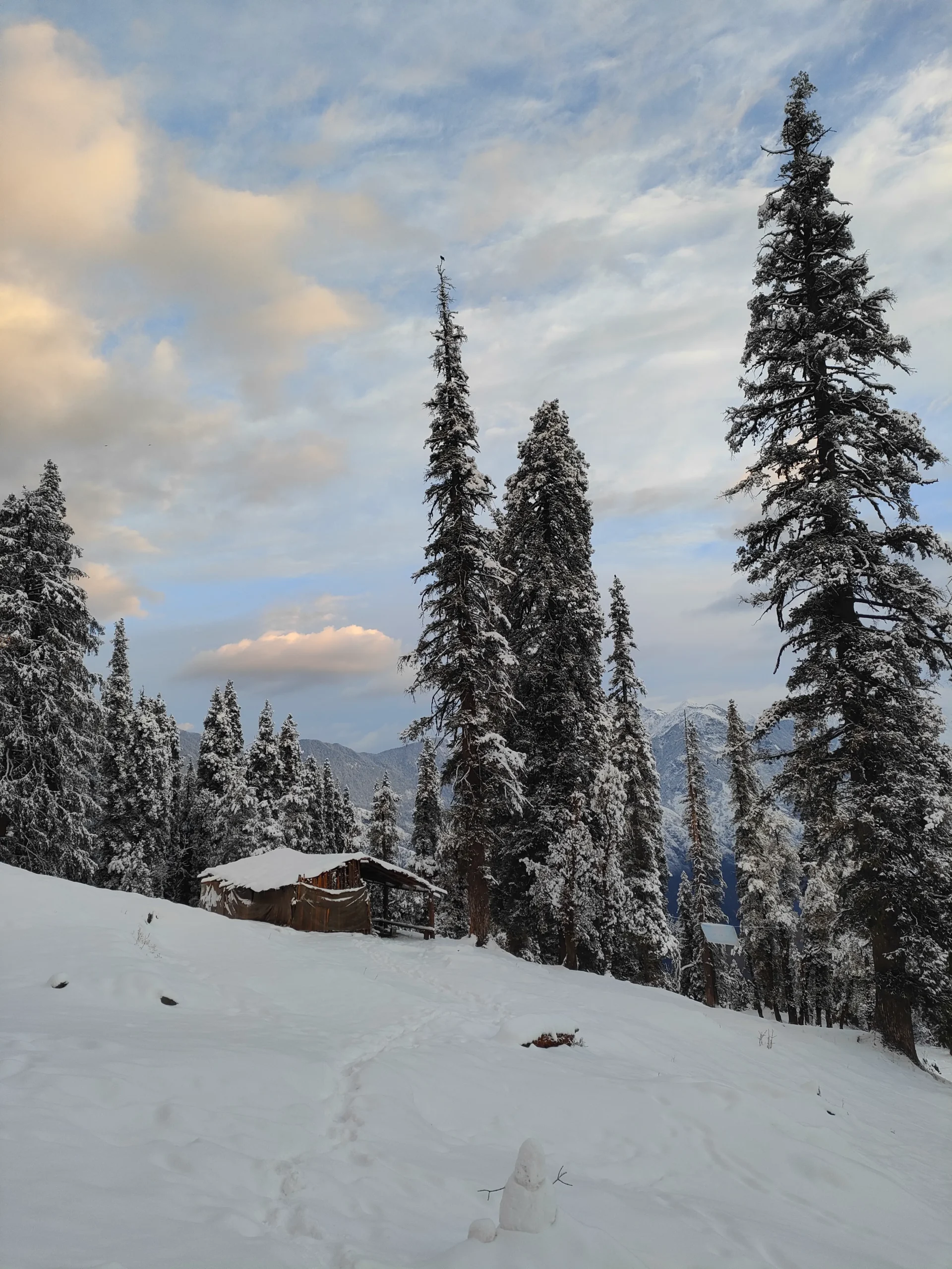 Kedarkantha Trek view 5