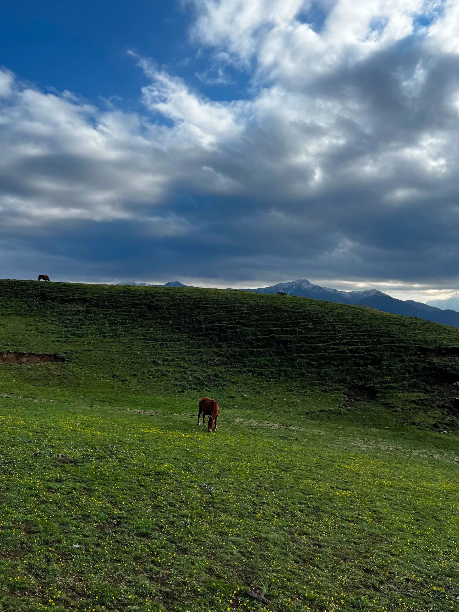 Dayara Bugyal Trek view 11