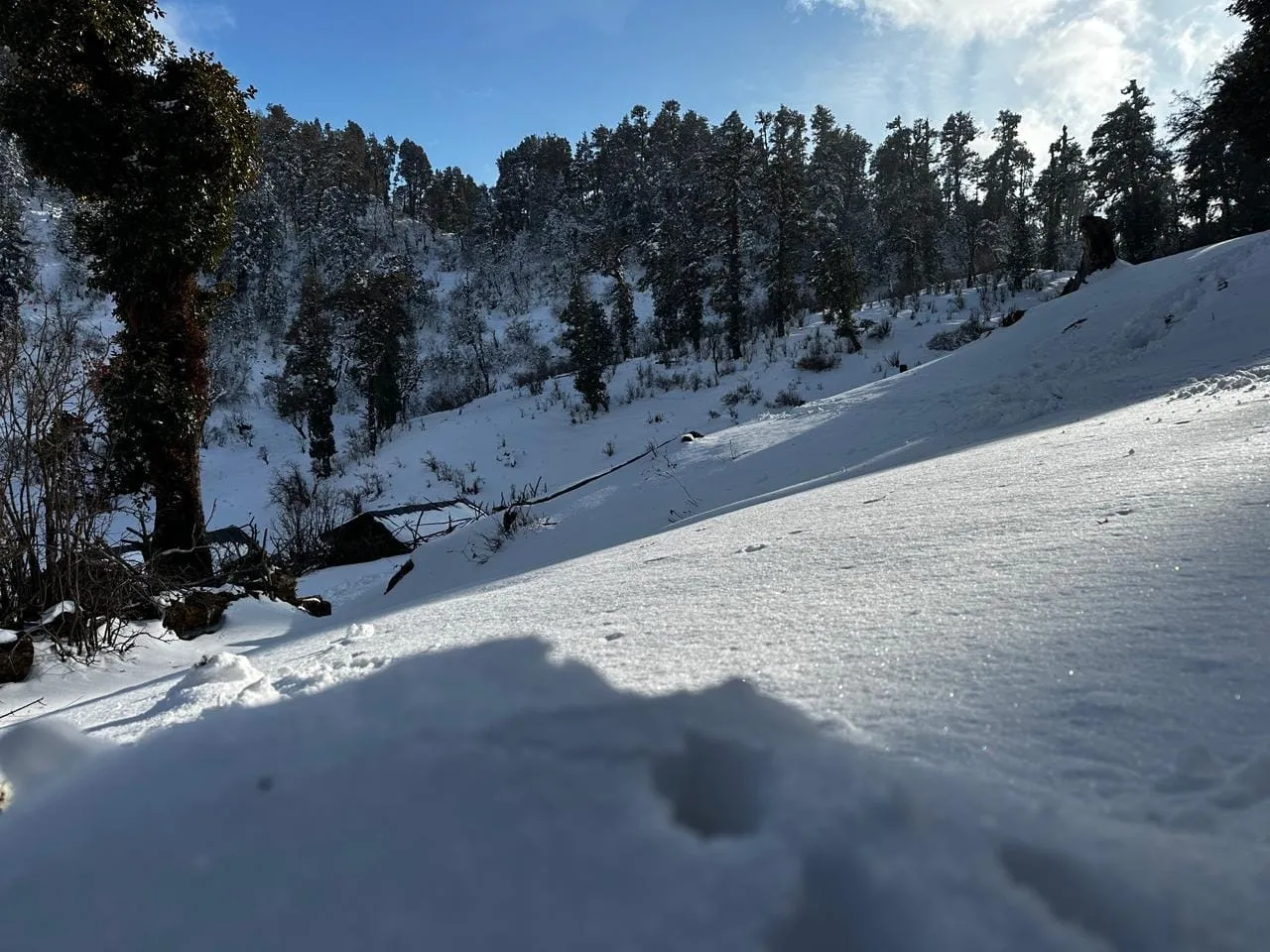 Dayara Bugyal Trek view 3